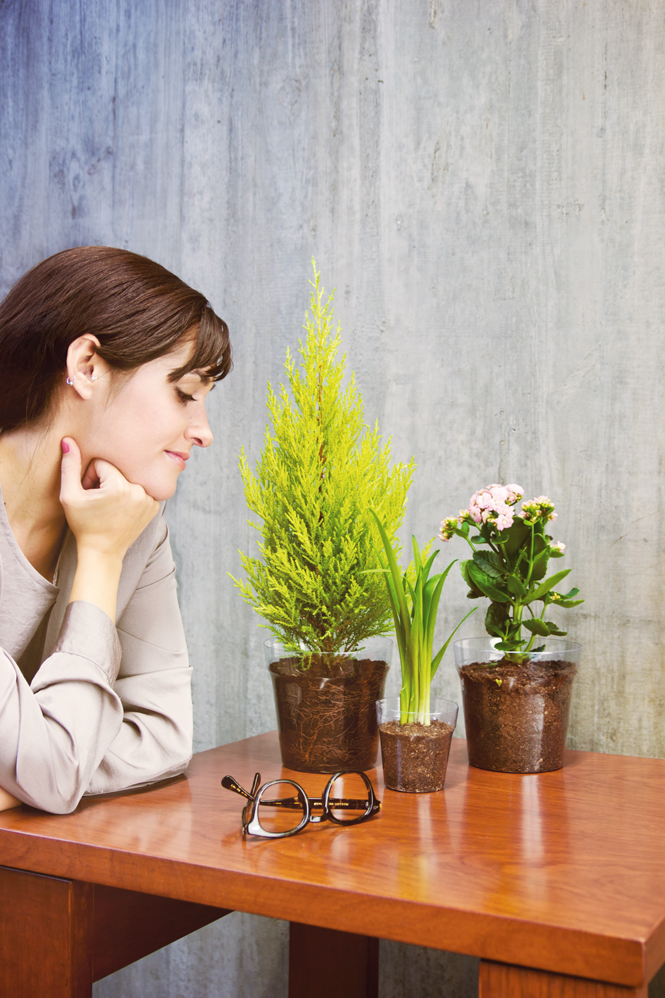 002_COLECTIVOdaRAINHA_web