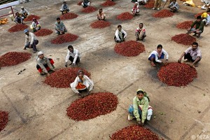 Alma do Café_REZA para Nespresso (5)