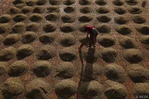 Alma do Café_REZA para Nespresso (7)