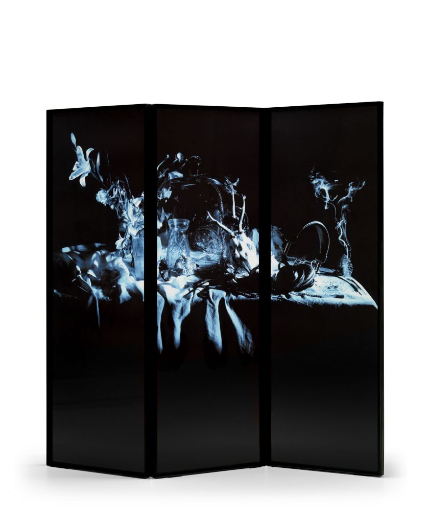 QS_0400_Xraydio 3 - Natura Morta_01